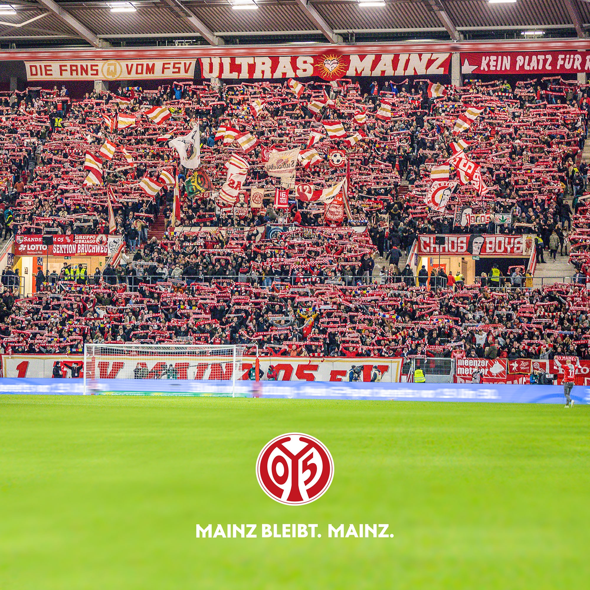Mainz 05 Motiv Flutlicht