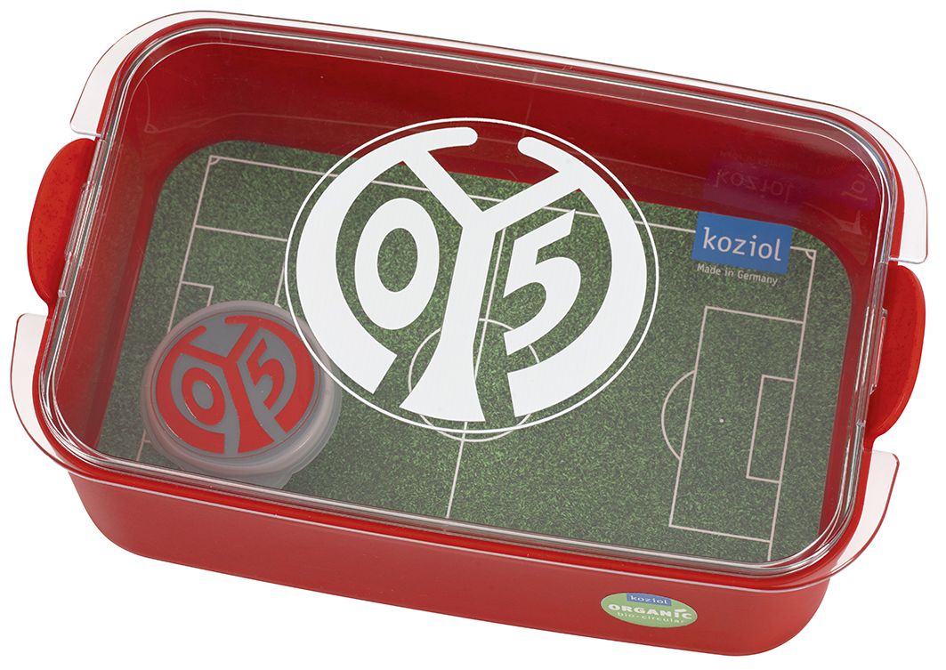 Lunchbox Mainz 05