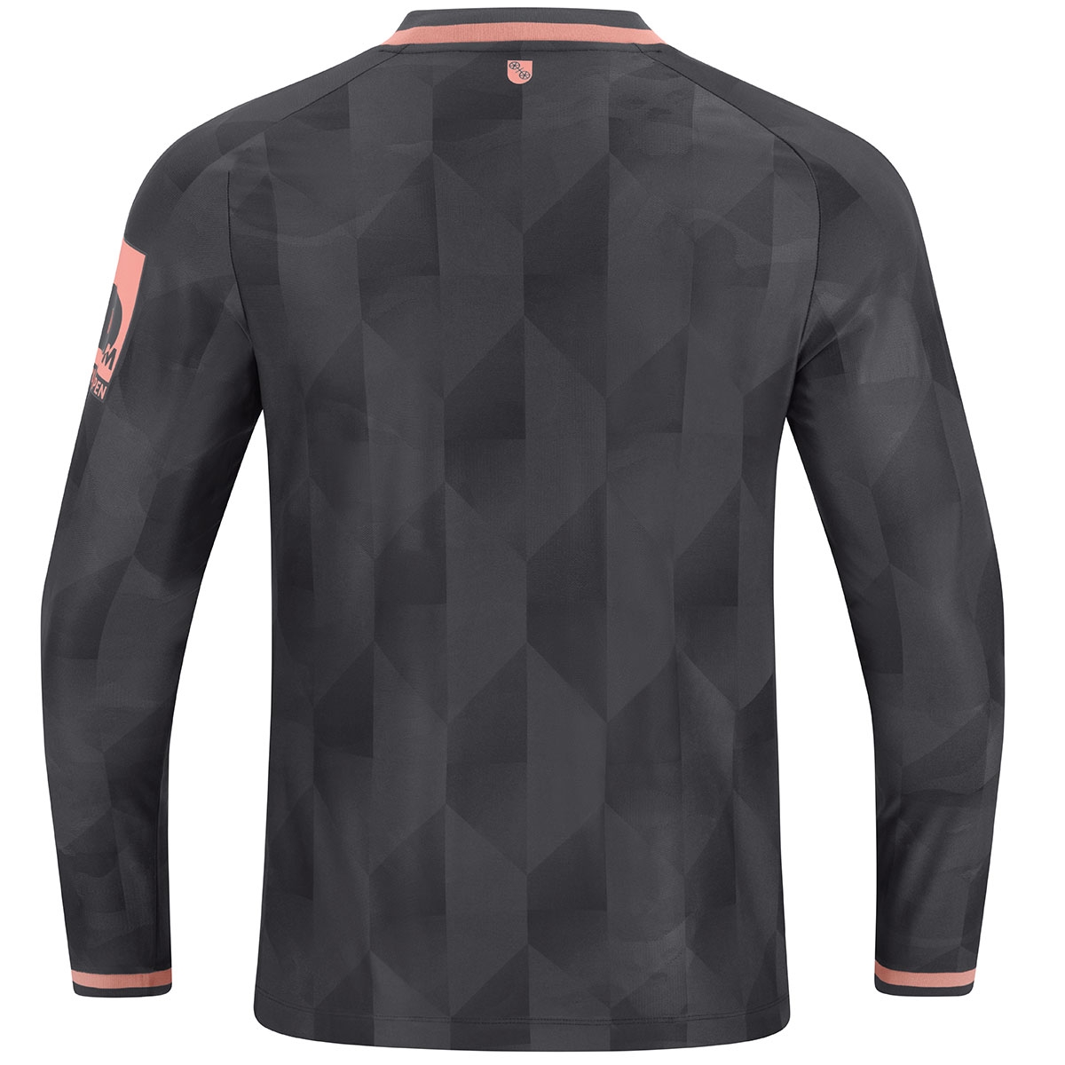 Ausweichtrikot Langarm 26/27 Herren